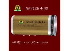 广东钻石虎ZLCD30/2安全热水器