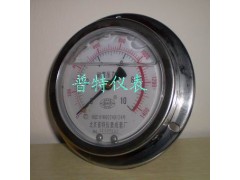 ytn-100zt轴向带边耐震压力表
